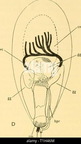 Scoperta dei report (1962) Rapporti ricerche discoveryreports31inst Anno: 1962 Foto Stock