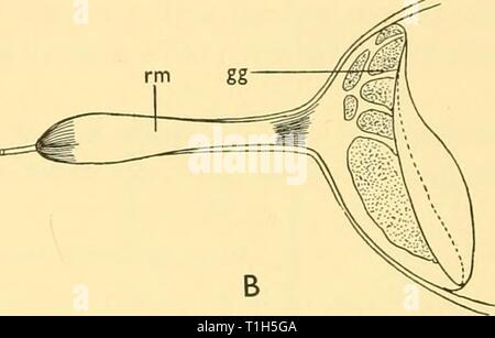 Scoperta dei report (1962) Rapporti ricerche discoveryreports31inst Anno: 1962 Foto Stock