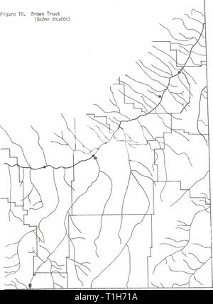 Distribuzione di pesci nel sud-est della distribuzione di pesci nel sud-est della Montana distributionoffi1980altro anno: 1980 / ( fiqura 10. Brown Trout [Salmo tmxttd) 37 Foto Stock