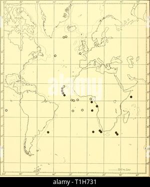 Rapporti di ricerca (1959) Discovery discoveryreports report29inst Anno: 1959 36 relazioni di ricerca testo-fig. 7. La distribuzione oi Phialopsis diegensis= •, i record precedenti = O. Foto Stock