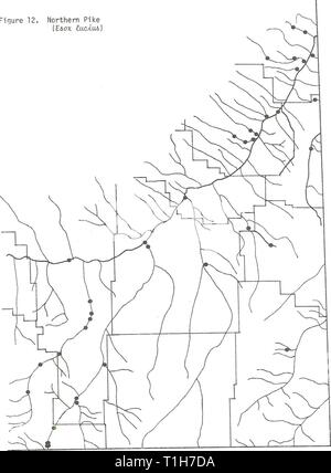 Distribuzione di pesci nel sud-est della distribuzione di pesci nel sud-est della Montana distributionoffi1980altro anno: 1980 c nella figura 12. Il luccio del nord 41 Foto Stock