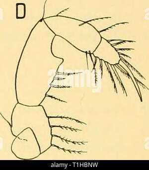 Scoperta dei report (1957) Rapporti ricerche discoveryreports28inst Anno: 1957 Foto Stock