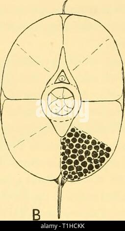 Scoperta dei report (1962) Rapporti ricerche discoveryreports31inst Anno: 1962 Foto Stock