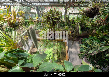 Serra in Real Jardín Botánico, Royal Botanical Garden di Madrid, Madrid, Spagna Foto Stock