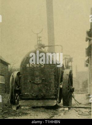 Malattie delle piante in serra (1923) malattie delle piante in serra diseasesofglassh1923bewl Anno: 1923 Foto Stock