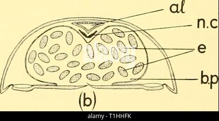 Rapporti di ricerca (1959) Discovery discoveryreports report29inst Anno: 1959 Foto Stock