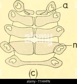 Rapporti di ricerca (1959) Discovery discoveryreports report29inst Anno: 1959 Foto Stock