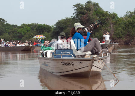 Fotografi di barche in attesa di una Jaguar a svegliarsi nel Pantanal in Brasile Foto Stock