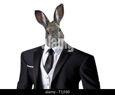 Funny Easter Bunny indossando un business suit, isolata su uno sfondo bianco, celebrazione di Pasqua concept Foto Stock