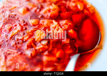 Macro closeup di sano vegetariano vegano il pranzo o la cena con antipasto rosso arancio zuppa vegetale tradizionale Russo Ucraino borscht vegano con sp Foto Stock