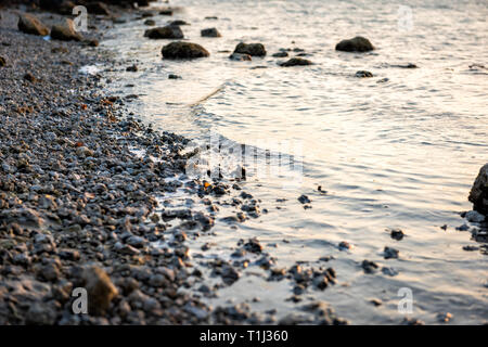 Tramonto in Islamorada, Florida Keys con acqua sul golfo del Messico o dell'Oceano Atlantico sulla riva isola marea poco profonda spiaggia rocciosa Foto Stock