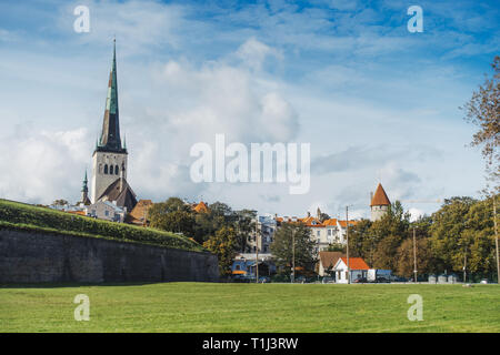 La guglia di san dell'Olaf torri della chiesa oltre la periferia della città vecchia centrale a Tallinn, Estonia Foto Stock