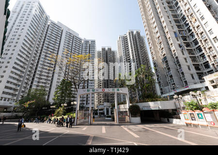 Alloggi sociali in blocchi di appartamenti, Kowloon, Hong Kong Foto Stock