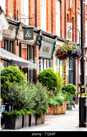 London, Regno Unito - 23 Giugno 2018: distretto quartiere di Pimlico Street appeso cesto fiorito decorazioni sul marciapiede vuoto in estate dai negozi Foto Stock