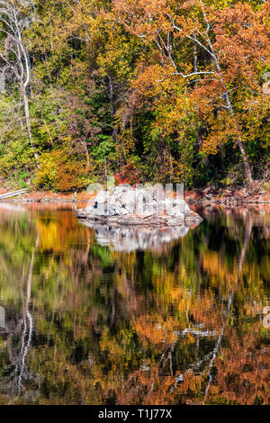 Great Falls alberi verticali di riflessione in vista canal fiume durante l'autunno in Maryland colorato giallo arancione foglie fogliame Foto Stock