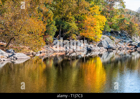 Great Falls giallo arancione autumn tree di riflessione in vista canal lago fiume superficie durante l'autunno in Maryland foglie colorate Foto Stock