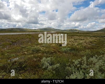 Rondane National Park Foto Stock