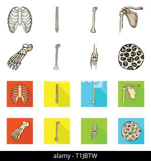 Nervatura,colonna vertebrale,femore,piedi,fibre,gabbia,chiropratica,rotto,bacino,caviglia,,ossea sana,xray,backbone,fibula,hip,gamba,scientific,corpo vertebrale,,shin,pelvico podologia,,GINOCCHIO,muscolo,l'osteoporosi,tibia,l'avampiede,l'epitelio,sterno,postura,medicina clinica,,biology,medical,osso,skeleton,anatomia umana,,organi,impostare,vettore,icona,immagine,isolato,raccolta,design,l'elemento,graphic,segno vettori vettore , Illustrazione Vettoriale