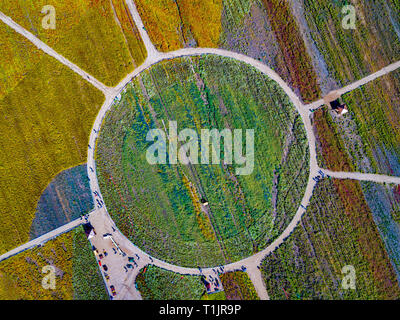 La fotografia aerea di Flower Garden Foto Stock