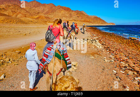 I vacanzieri godere il cammello safari lungo la costa del golfo di Aqaba con vista sulle montagne colorate del deserto del Sinai, Egitto. Foto Stock