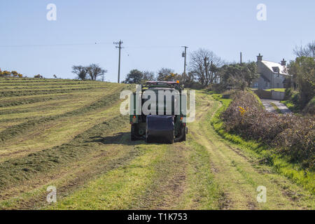 Castlehaven, West Cork, Irlanda, 27 marzo 2019. Un'altra bella giornata di primavera e il clima caldo ha permesso un allevatore locale per ottenere la sua prima stagione da insilato tagliato e imballato. Credito: aphperspective/Alamy Live News Foto Stock