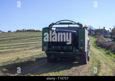 Castlehaven, West Cork, Irlanda, 27 marzo 2019. Un'altra bella giornata di primavera e il clima caldo ha permesso un allevatore locale per ottenere la sua prima stagione da insilato tagliato e imballato. Credito: aphperspective/Alamy Live News Foto Stock