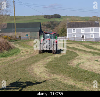 Castlehaven, West Cork, Irlanda, 27 marzo 2019. Un'altra bella giornata di primavera e il clima caldo ha permesso un allevatore locale per ottenere la sua prima stagione da insilato tagliato e imballato. Credito: aphperspective/Alamy Live News Foto Stock