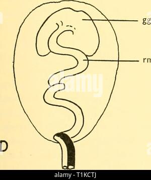 Scoperta dei report (1962) Rapporti ricerche discoveryreports31inst Anno: 1962 Foto Stock