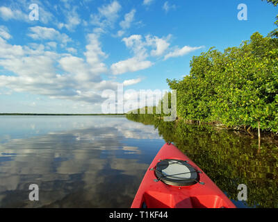 Rosso su kayak Coot Bay nel mezzo di foreste di mangrovie e riflette le nuvole in Everglades National Park, Florida. Foto Stock