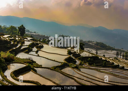 Vista dall'alto di Yuanyang terrazze di riso di sera Foto Stock