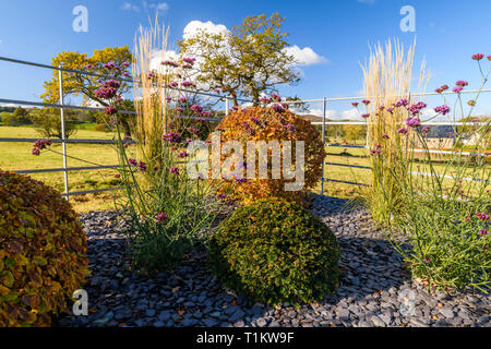 Colore di autunno nel bellissimo giardino privato - design elegante e contemporaneo, paesaggio, semina e scaglie di ardesia sul confine (rurale Yorkshire, Inghilterra, Regno Unito) Foto Stock