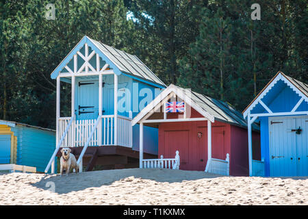 Pittoresca spiaggia di capanne sulla spiaggia di pozzi a Wells accanto al mare sulla Costa North Norfolk, East Anglia, Inghilterra, Regno Unito. Foto Stock