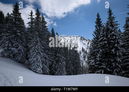 Le vie di fronte snowy Karwendel mountain range, Tirolo, Austria Foto Stock