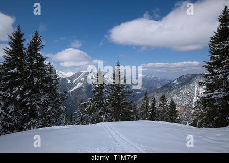 Sci e racchette da neve tracce nella parte anteriore del Karwendel nevoso mountain range, Tirolo, Austria Foto Stock