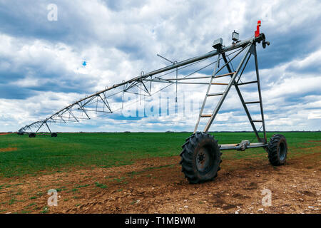 Perno centrale di un sistema di irrigazione in coltivato il grano raccolto campo agricolo Foto Stock