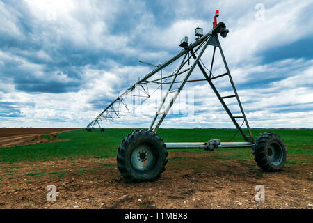 Perno centrale di un sistema di irrigazione in coltivato il grano raccolto campo agricolo Foto Stock