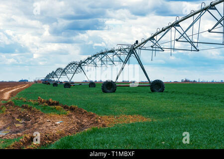 Perno centrale di un sistema di irrigazione in coltivato il grano raccolto campo agricolo Foto Stock