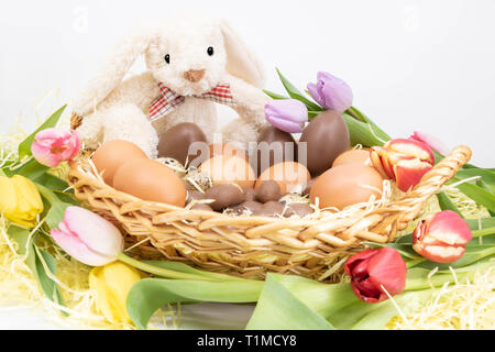 La molla tulipani surround coniglietto di Pasqua e la sua collezione di uova di pasqua di cioccolato Foto Stock