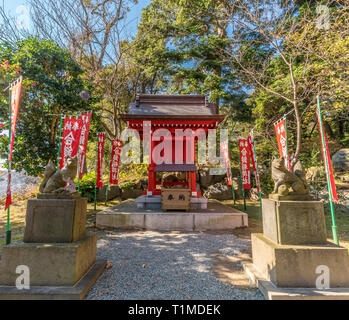 Kamakura, Kanagawa, Giappone - 16 Novembre 2017 : Nobori banner, Inari fox custodi, Saisenbako(confezione offerta)a Kuzuharaoka santuario situato nel grou Foto Stock