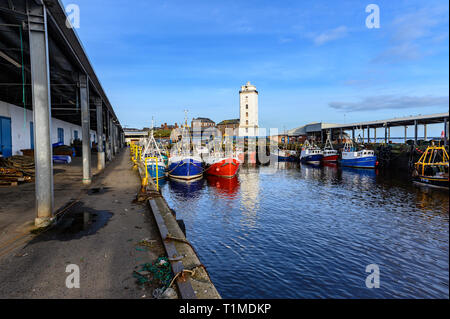 North Shields Fish Quay, North East England, Regno Unito Foto Stock