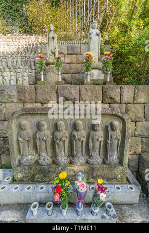 Righe di vecchi Jizo Bodhisattva (Bosatsu) statue raggruppate in prossimità Jizo-fare Hall a Haze-dera tempio o-Hase Kannon. Foto Stock