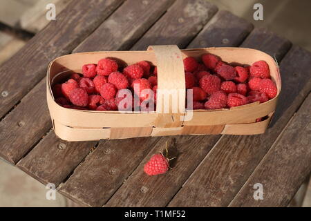 Fresche lamponi succosa in un cesto di vimini su un tavolo di legno Foto Stock