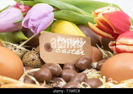 Felice Pasqua il testo su una etichetta circondato da diverse uova di Pasqua e tulipani Foto Stock