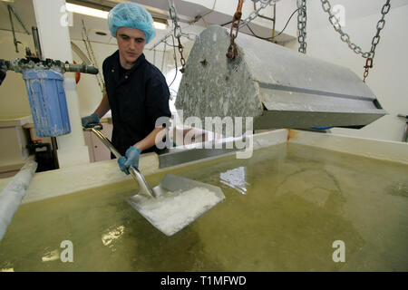 Un lavoratore sale di raccolta da una delle saline utilizzato per raccogliere l'acqua di mare presso la Anglesey Sea Salt Company a Brynsiencyn. L'acqua contiene normalmente tre per cento sale ma una volta che è distillato e riscaldata questo sorge a circa 15 per cento. La pala di lavoratori di depositi di sale nei vassoi prima di lavaggio e di asciugatura. È dalle acque dell'Oceano Atlantico che circonda l'isola che la Anglesey Sea Salt Company scarichi acqua di mare per rendere il suo organico sale marino prodotti. Foto Stock