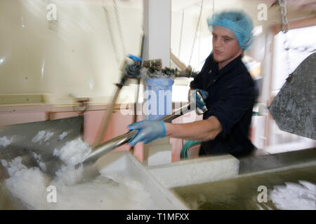 Un lavoratore sale di raccolta da una delle saline utilizzato per raccogliere l'acqua di mare presso la Anglesey Sea Salt Company a Brynsiencyn. L'acqua contiene normalmente tre per cento sale ma una volta che è distillato e riscaldata questo sorge a circa 15 per cento. La pala di lavoratori di depositi di sale nei vassoi prima di lavaggio e di asciugatura. È dalle acque dell'Oceano Atlantico che circonda l'isola che la Anglesey Sea Salt Company scarichi acqua di mare per rendere il suo organico sale marino prodotti. Foto Stock