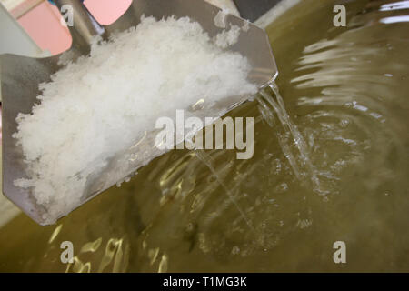 Un lavoratore sale di raccolta da una delle saline utilizzato per raccogliere l'acqua di mare presso la Anglesey Sea Salt Company a Brynsiencyn. L'acqua contiene normalmente tre per cento sale ma una volta che è distillato e riscaldata questo sorge a circa 15 per cento. La pala di lavoratori di depositi di sale nei vassoi prima di lavaggio e di asciugatura. È dalle acque dell'Oceano Atlantico che circonda l'isola che la Anglesey Sea Salt Company scarichi acqua di mare per rendere il suo organico sale marino prodotti. Foto Stock