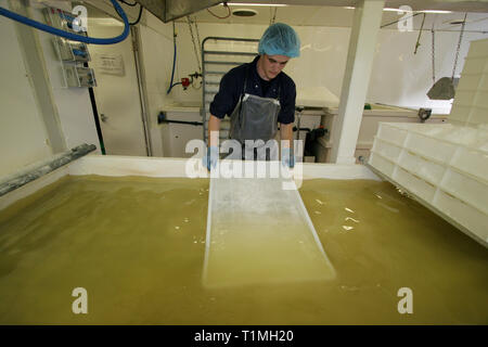 Un lavoratore lavaggi raccolti di fresco sale da una delle saline utilizzato per raccogliere l'acqua di mare presso la Anglesey Sea Salt Company a Brynsiencyn. L'acqua contiene normalmente tre per cento sale ma una volta che è distillato e riscaldata questo sorge a circa 15 per cento. La pala di lavoratori di depositi di sale nei vassoi prima di lavaggio e di asciugatura. È dalle acque dell'Oceano Atlantico che circonda l'isola che la Anglesey Sea Salt Company scarichi acqua di mare per rendere il suo organico sale marino prodotti. Foto Stock