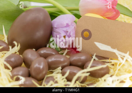 Etichetta vuota, color pastello tulipani e uova di cioccolato per Pasqua e arrivo a molla Foto Stock