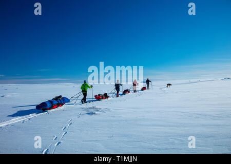 Cross country ski touring gruppo attraversando l altopiano Finnmarksvidda. Finnmark, Arctic Norvegia. Foto Stock