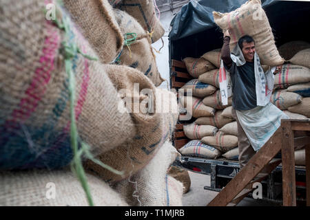 Caffè lavoratore con carichi di sacco di chicchi di caffè in Filandia, Colombia Foto Stock